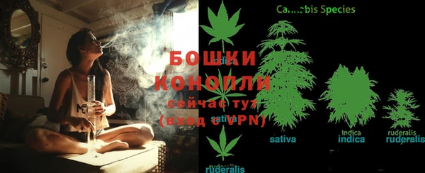 спиды Армянск