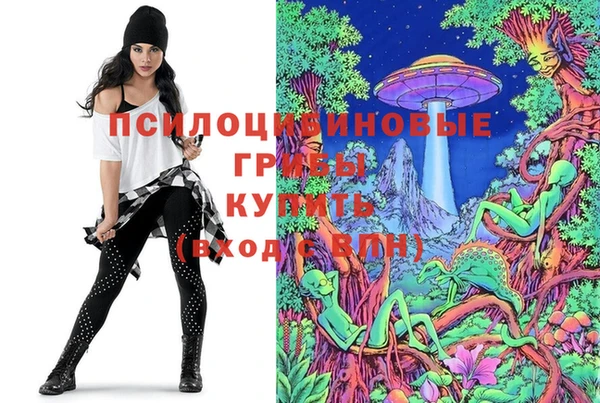 ГАЛЛЮЦИНОГЕННЫЕ ГРИБЫ Арсеньев