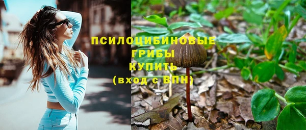 метадон Аркадак
