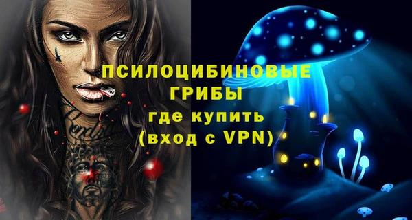 спиды Армянск